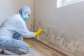 Best Water Damage & Mold Remediation  in Tichigan, WI